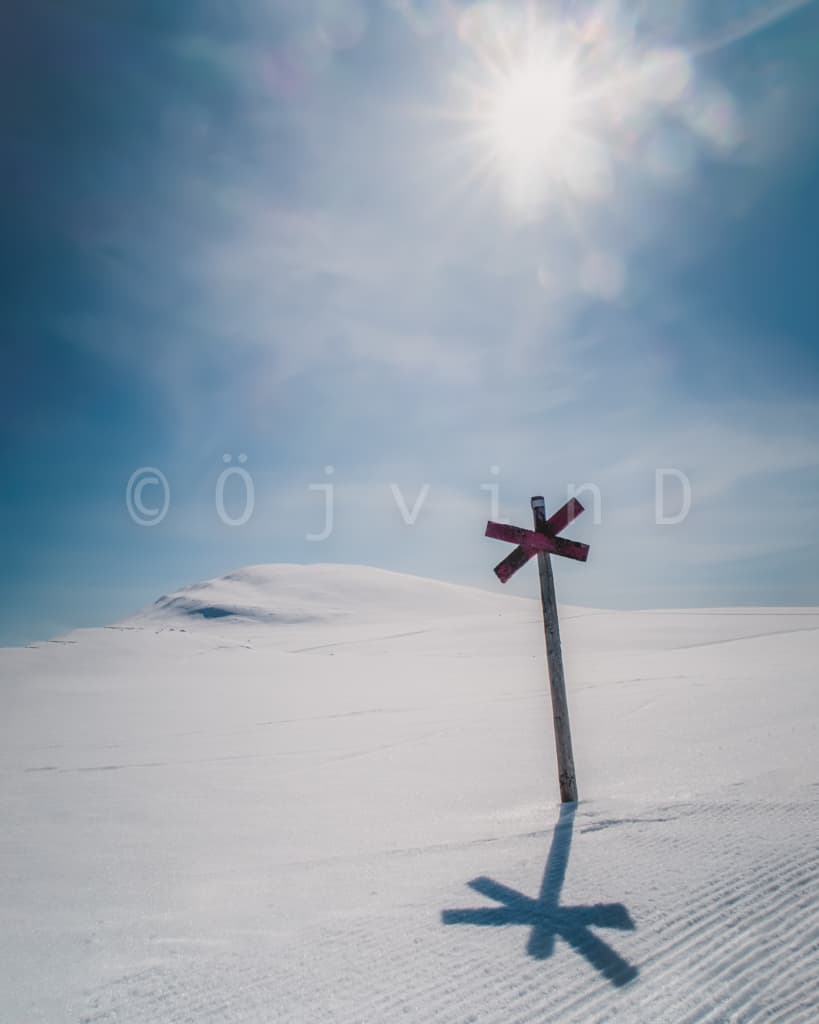 Ledkryss i vår- och vinterljus, Tänndalen, Sverige
